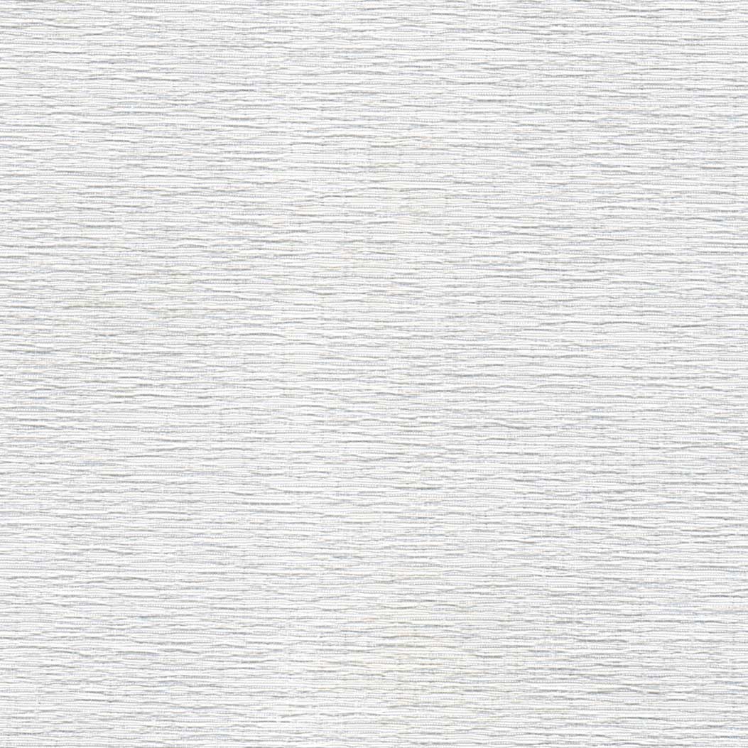 4.823503 Birch Light Filter